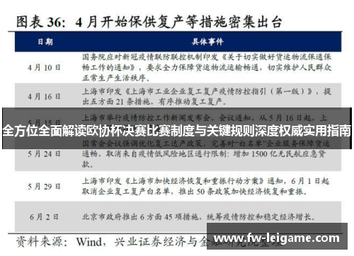 全方位全面解读欧协杯决赛比赛制度与关键规则深度权威实用指南