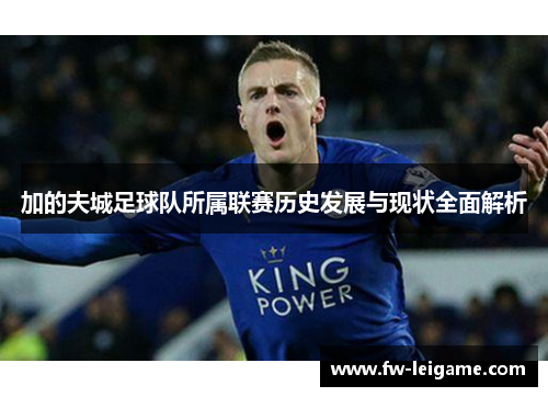 加的夫城足球队所属联赛历史发展与现状全面解析