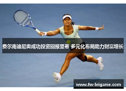 费尔南迪尼奥成功投资回报显著 多元化布局助力财富增长