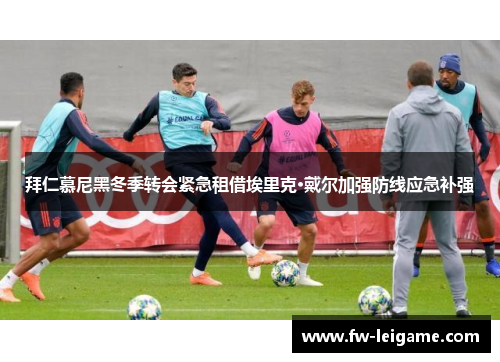 拜仁慕尼黑冬季转会紧急租借埃里克·戴尔加强防线应急补强